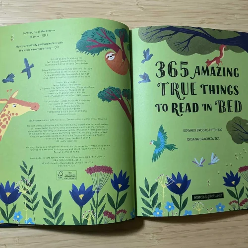 f1eb2e236101359.68e50dbf9e3eb